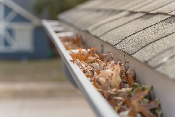 Leaf Barrier Installation in York
